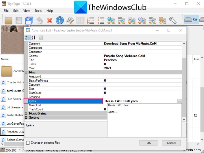 Windows 11/10에서 MP3 파일에 가사를 추가하고 삽입하는 방법