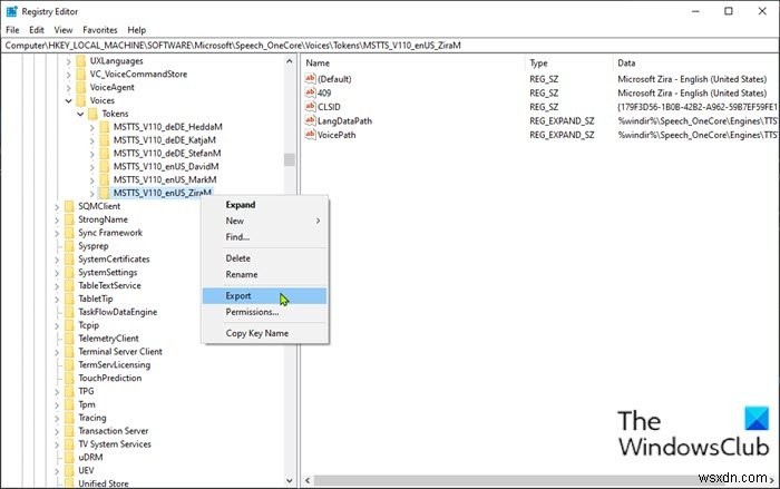 Windows 11/10에서 숨겨진 TTS(텍스트 음성 변환) 음성 잠금 해제하는 방법