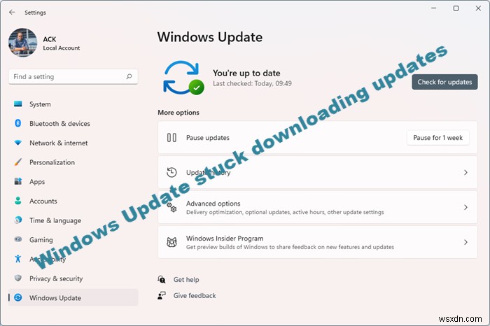 Windows 11/10에서 Windows 업데이트 다운로드가 멈춰 있을 때 해결하는 방법