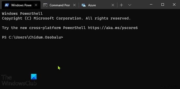 Windows 11/10에서 Windows 터미널 사용법 완벽 가이드
