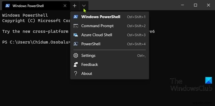 Windows 11/10에서 Windows 터미널 사용법 완벽 가이드
