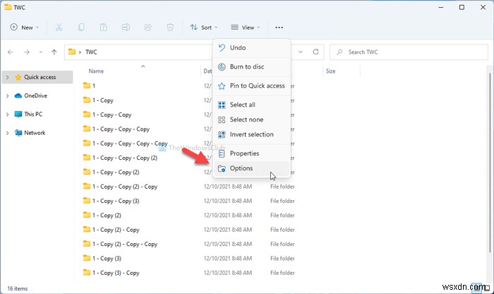 Windows 11/10에서 모든 폴더에 기본 폴더 보기 설정하는 방법