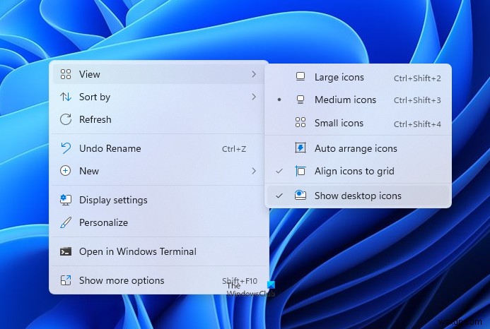 Windows 11/10에서 바탕 화면 아이콘 숨기기 또는 표시하는 방법