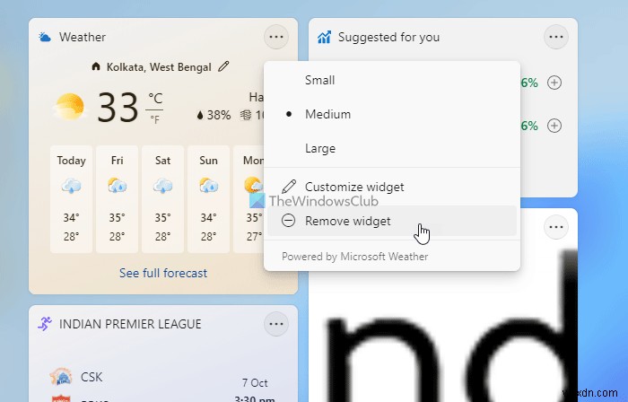 Windows 11/10 뉴스 및 관심사(위젯)에서 정보 카드 표시·숨기기 방법