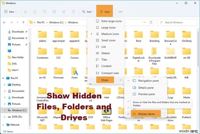 Windows 11/10에서 숨겨진 파일 및 폴더 표시하는 완벽 가이드