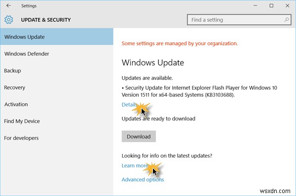 Windows 11/10에서 업데이트 확인하는 방법 총정리