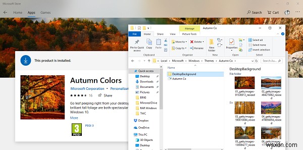 Windows 11/10 테마는 어디에 저장될까? 저장 위치와 활용법 총정리