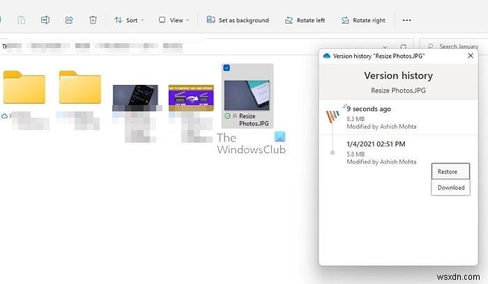 Windows 11/10에서 삭제된 OneDrive 파일을 복구하는 방법