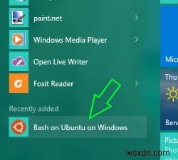 Windows 11/10에서 Ubuntu의 Bash를 실행하는 방법