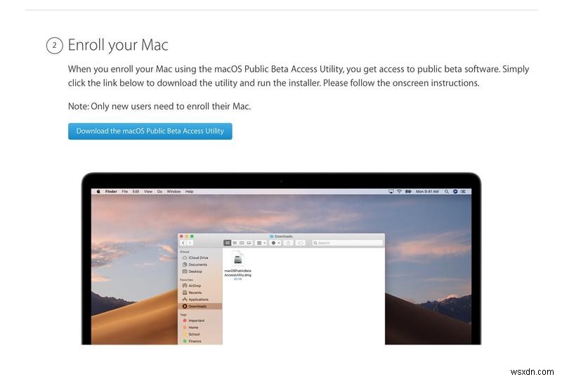 macOS Monterey 베타 설치 방법 총정리: 개발자·공개 베타부터 주의사항까지