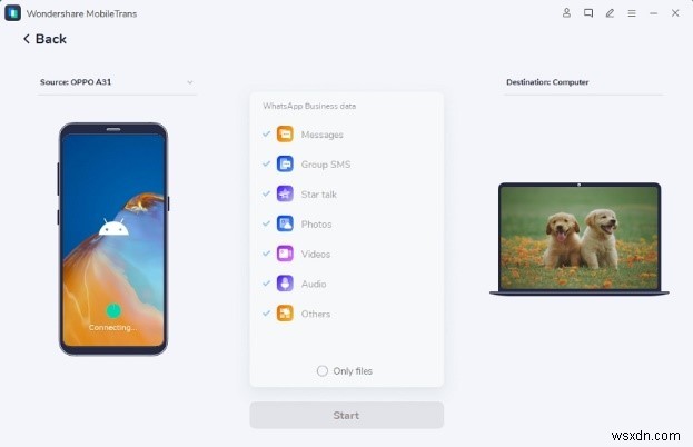 2021년 WhatsApp 비즈니스 API 완벽 가이드: 개념부터 신청 및 백업 방법까지