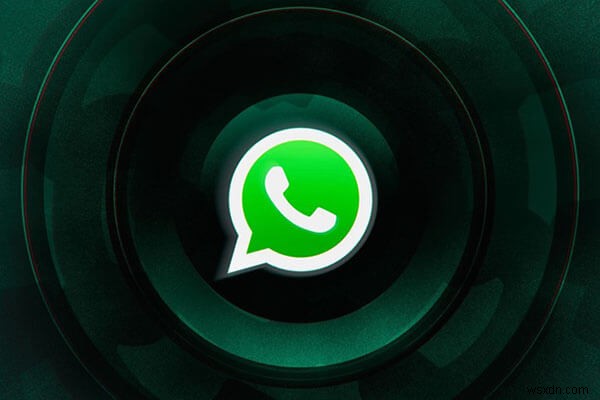 시그널(Signal) vs 왓츠앱(WhatsApp) 완벽 비교: 프라이버시와 보안, 무엇이 다를까?