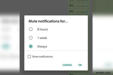 WhatsApp 알림 끄는 방법: 안드로이드·아이폰 설정 가이드
