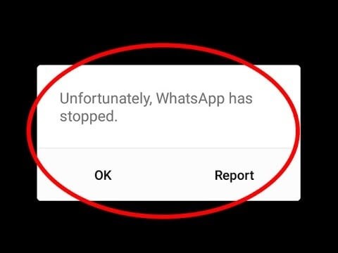 맥(Mac)에서 WhatsApp 사용하는 방법 3가지 – 설치부터 문제 해결까지