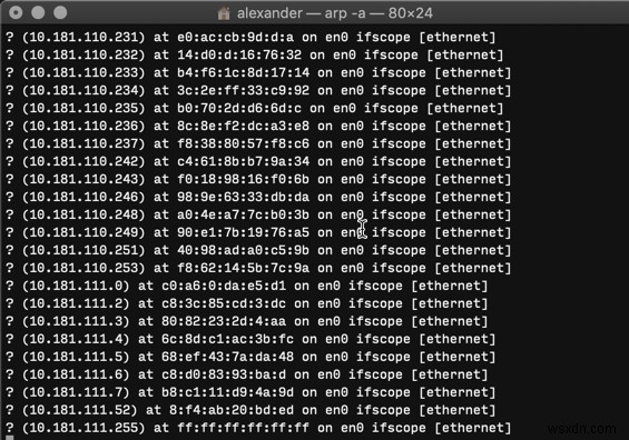 macOS에서 터미널로 로컬 네트워크를 스캔하는 방법 (nmap & arp 완벽 가이드)