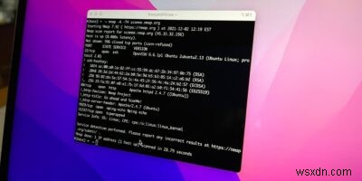 macOS에서 터미널로 로컬 네트워크를 스캔하는 방법 (nmap & arp 완벽 가이드)