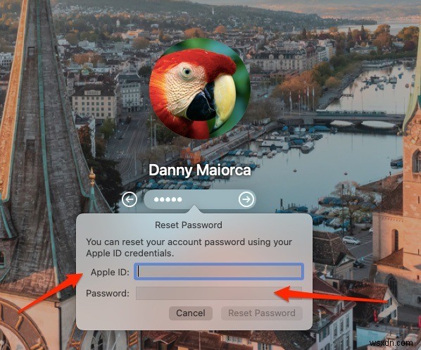 Mac 암호를 잊으셨나요? 로그인·관리자·iCloud 암호 재설정 완벽 가이드