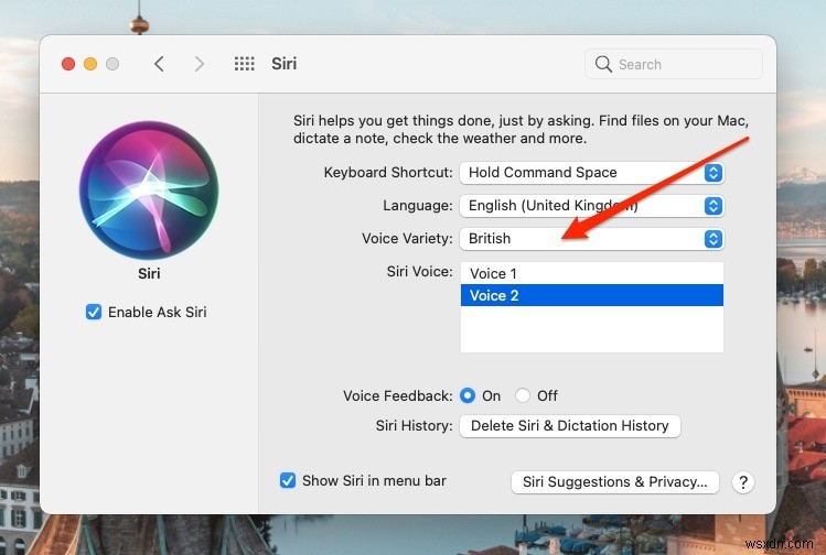맥(Mac)과 아이폰(iPhone)에서 Siri 음성 및 언어 변경하는 방법