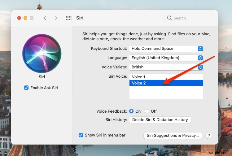 맥(Mac)과 아이폰(iPhone)에서 Siri 음성 및 언어 변경하는 방법