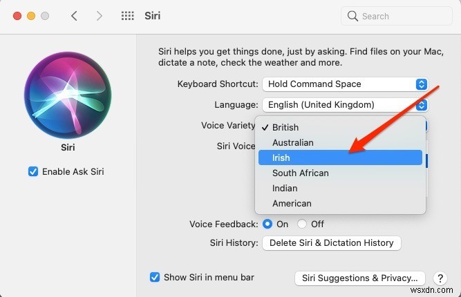 맥(Mac)과 아이폰(iPhone)에서 Siri 음성 및 언어 변경하는 방법