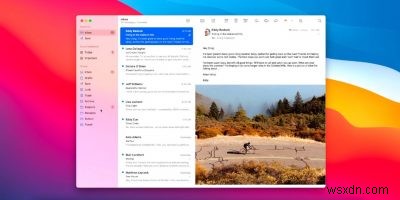 Apple Mail에서 추적 픽셀 차단하는 방법: macOS·iOS 개인정보 보호 가이드