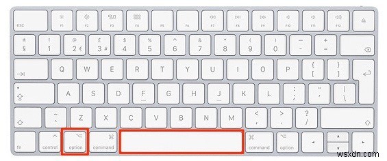 꼭 알아야 할 Mac Finder 핵심 설정과 숨겨진 활용 팁