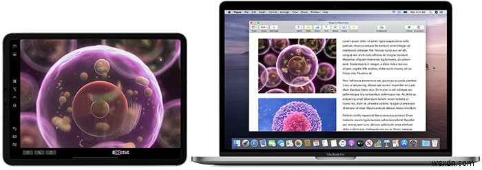 macOS와 iOS 연동 완벽 가이드: 애플 컨티뉴이티 기능 총정리