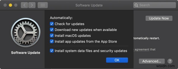 macOS 소프트웨어 자동 업데이트 활성화 방법