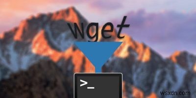 맥(Mac) 터미널에 새 명령어 쉽게 추가하는 방법 – Homebrew 완벽 가이드