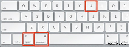 맥(Mac) 사파리(Safari)에서 웹페이지 소스 코드 확인하는 방법