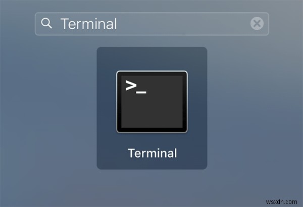 Mac 가동 시간(업타임) 확인하는 방법 2가지
