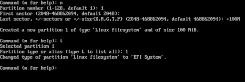 젠투 리눅스(Gentoo Linux)란? 개념부터 설치 방법까지 완벽 가이드