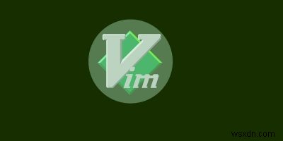 Vim 편집기에서 여러 줄 주석 처리하는 4가지 방법