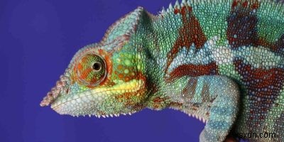 openSUSE 리뷰: 실용적인 사용자를 위한 리눅스 배포판