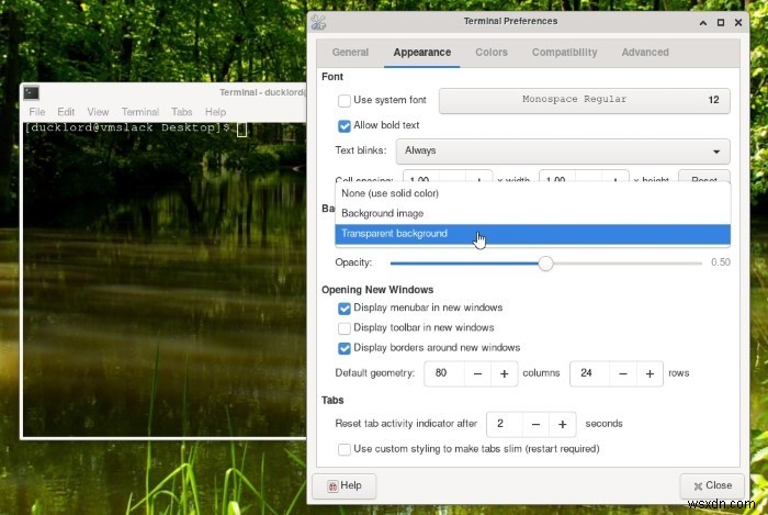 XFCE 패널과 터미널을 투명하게 만드는 방법