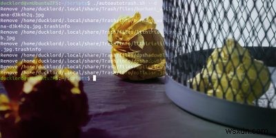 AutoTrash로 우분투 휴지통 자동 비우기 – 저장 공간 확보 완벽 가이드