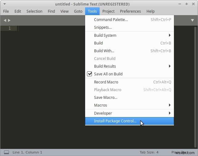 우분투(Ubuntu)에 Sublime Text 설치하고 패키지로 기능 확장하기