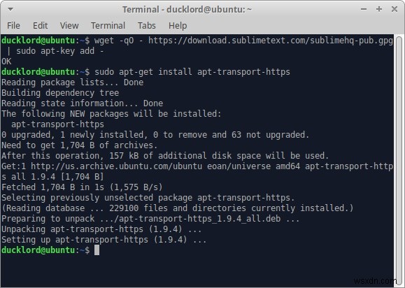 우분투(Ubuntu)에 Sublime Text 설치하고 패키지로 기능 확장하기