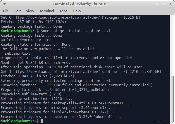 우분투(Ubuntu)에 Sublime Text 설치하고 패키지로 기능 확장하기