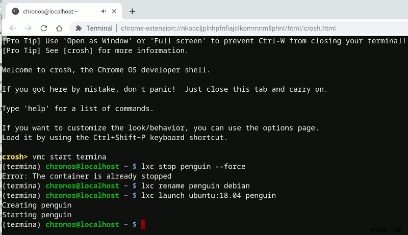 Chrome OS에서 Ubuntu 컨테이너 실행하는 방법 (Crostini 완전 가이드)