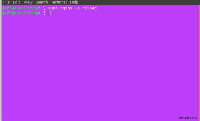 Nginx로 DDoS 공격 방어하기: 서버 보안 강화를 위한 실전 가이드