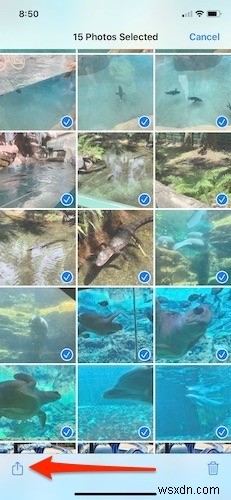 아이폰 사진 정리 완벽 가이드: 앨범 만들기부터 검색 활용까지