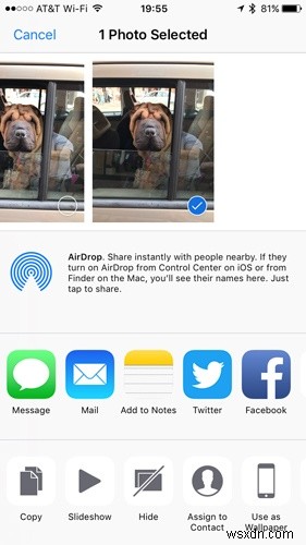iOS 사진 앱의 숨겨진 보석 같은 기능 완벽 활용법