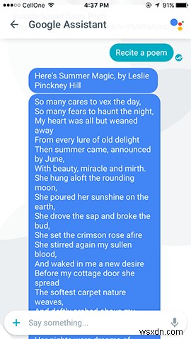 구글 알로(Google Allo) 처음이신가요? 구글 어시스턴트에게 물어볼 수 있는 기능 총정리