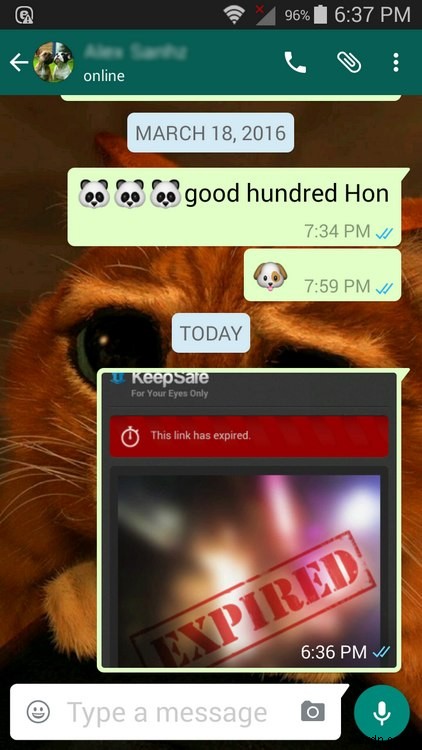 WhatsApp 문제 한 번에 해결! 꼭 알아야 할 유용한 팁