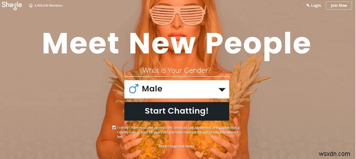 낯선 사람과 자유롭게 대화할 수 있는 최고의 Omegle 대안 사이트 8곳