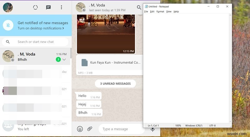 WhatsApp 웹 완벽 활용 가이드: 알아두면 유용한 팁과 기능 13가지