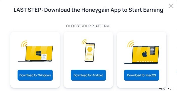 허니게인(Honeygain)이란? 합법 여부와 수익 창출 방법 총정리