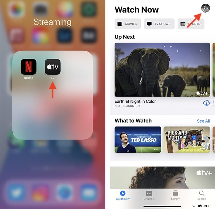 Apple TV+ 구독 해지하는 방법, 아이폰과 브라우저에서 쉽게 취소하기