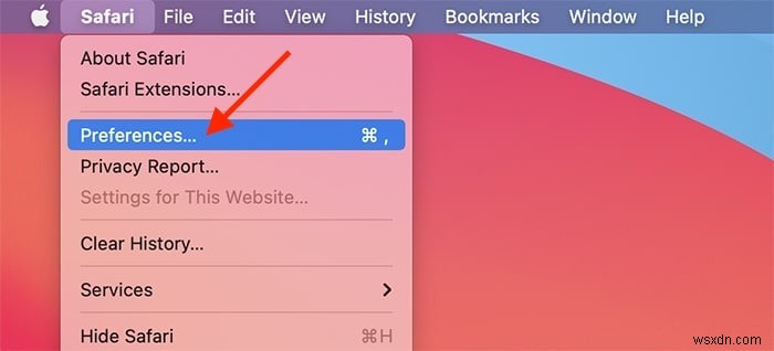 Mac용 Safari에서 저장된 암호 확인하는 방법 완벽 가이드